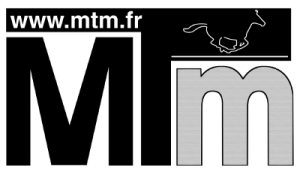 Logo-MTM-gris